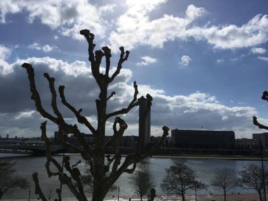 La Cathedrale - Vue Sur Seine Apartment Rouen Bagian luar foto
